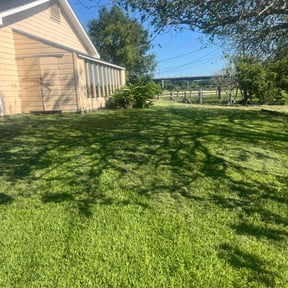 gardening service by Green Looks reviewed on August 17, 2025
