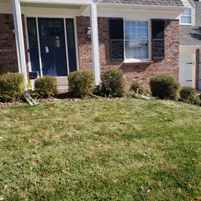 Bush Trimming by Daddy's Lawn Care reviewed on August 19, 2025