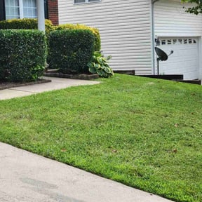 Bush Trimming by Roberto Pena reviewed on August 16, 2025