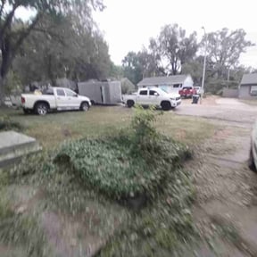 Bush Trimming by Triple "s" services reviewed on November 23, 2025