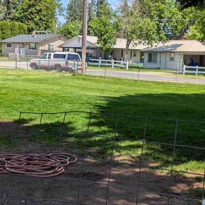 lawn care by WhaleyScapes lawn services reviewed on August 15, 2025