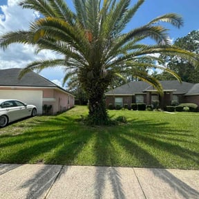 Tree Care by Texas Fencing &amp; Landscaping reviewed on October 6, 2023