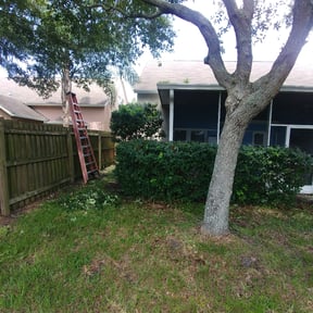 Bush Trimming by Supreme Home Services reviewed on August 20, 2025