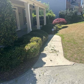 Bush Trimming by Marshall lawn reviewed on August 18, 2025