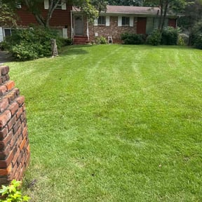 gardening service by E-maculate Lawn  Care LLC reviewed on November 23, 2025