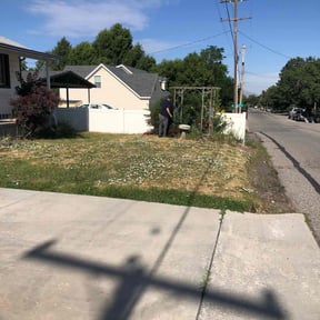 Bush Trimming by Ohio grass barbers reviewed on August 21, 2025