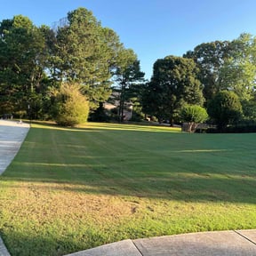 landscaping by Ultimate Landscape Contractor reviewed on August 20, 2025
