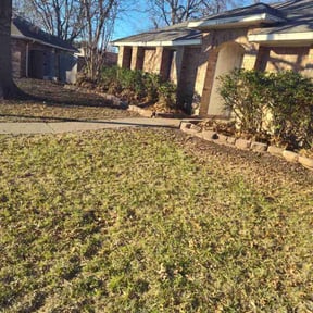 Leaf Removal by Rjm reviewed on September 26, 2025