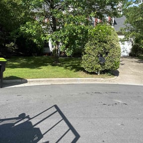 grass maintenance by Sbm reviewed on June 9, 2025