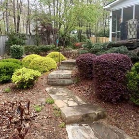 Bush Trimming by Duane & Sons lawn care reviewed on August 15, 2025