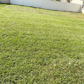 yard care by FL Lawn Rangers LLC reviewed on March 13, 2026