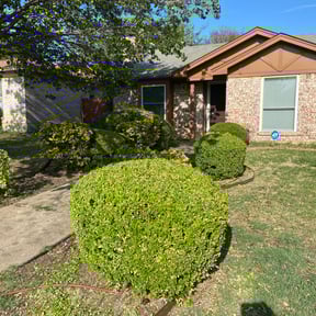 Bush Trimming by Martínez landscaping reviewed on August 21, 2025