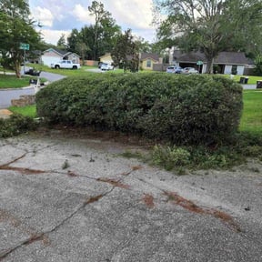 Bush Trimming by Kuttengrass356 llc reviewed on August 17, 2025