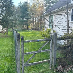 Long Grass Cleanup by Dylan Seese Lawn Care reviewed on December 2, 2025