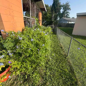 Bush Trimming by Achilles Lawncare reviewed on October 24, 2025