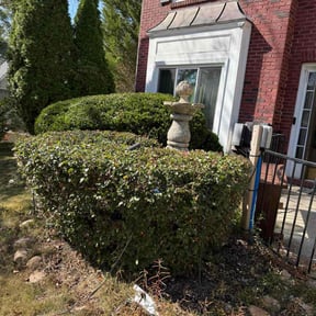 Bush Trimming by GSE Lawn Care reviewed on November 23, 2025