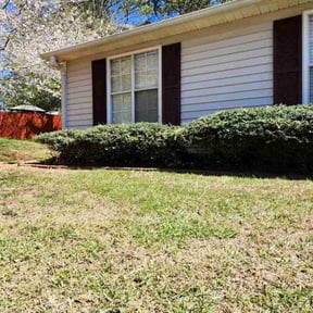 Bush Trimming by AAA Outdoor Services reviewed on July 2, 2025