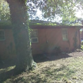 Bush Trimming by ACDServ LLC reviewed on August 21, 2023