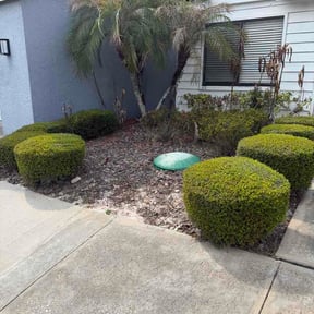 Bush Trimming by Jerome Lawn Pros reviewed on April 1, 2026