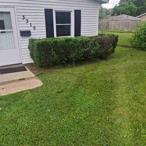 Bush Trimming by True Care Your Lawn reviewed on June 17, 2026