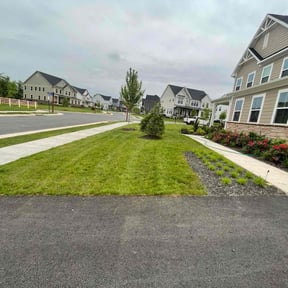 lawn care by Hector's reviewed on August 17, 2025
