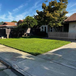 gardening service by The Boom Bros Lawn & Garden reviewed on August 19, 2025