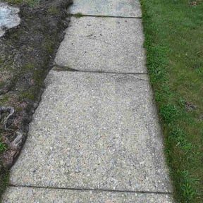 Flower Bed Weeding by Ryan's lawn and gutter service reviewed on August 26, 2026