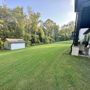 yard service by Diverse Capital Fence and Lawn Services reviewed on December 14, 2024