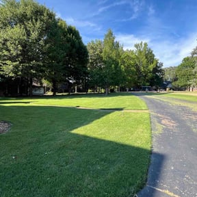 turf care by MagnoliaOne Lawn Care reviewed on July 19, 2025