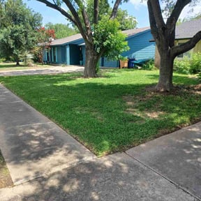 yard work by FBE SERVICES LLC reviewed on March 6, 2022