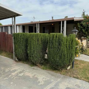 Bush Trimming by Lawn Pro grounds management reviewed on August 15, 2025