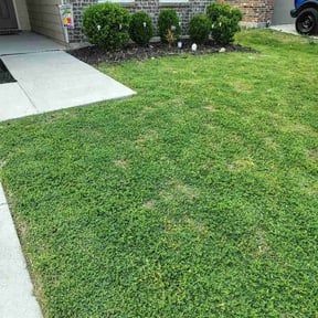 Flower Bed Weeding by Burris Brothers Lawn Care reviewed on April 18, 2026