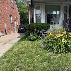 Bush Trimming by Helping Hand Handyman Services reviewed on July 9, 2026