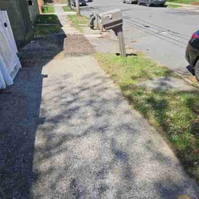 Leaf Removal by Richy reviewed on August 15, 2026