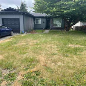 Bush Trimming by Difran and Sons Landscaping LLC reviewed on July 5, 2026