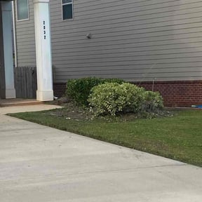 Bush Trimming by Caliber Lawn and Garden reviewed on December 18, 2025