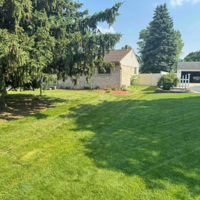 yard maintenance by Carlos One Stop Landscaping reviewed on August 15, 2025