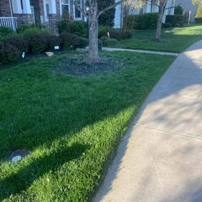 lawn care services by Carbon Dioxide Recyclers reviewed on July 26, 2023
