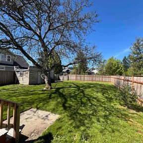 landscaping by Neighbors Complaining? Get Landscaping reviewed on August 18, 2025