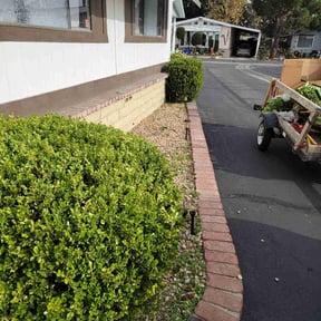 Bush Trimming by SML Services reviewed on August 19, 2025