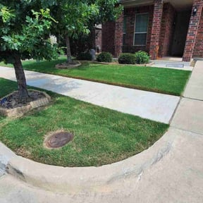landscaping services by Top Dogg Unlimited reviewed on August 21, 2025