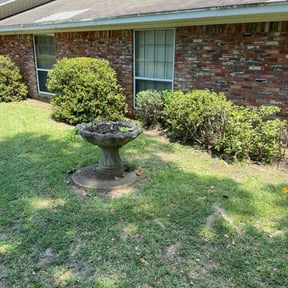 Bush Trimming by GreenGrows lawn care services reviewed on October 19, 2025