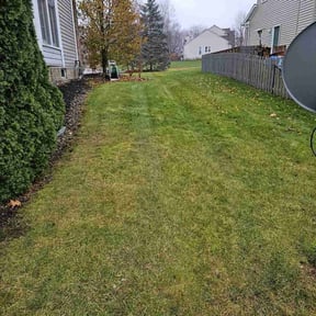 Bush Trimming by Joshs lawncare reviewed on June 22, 2025