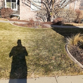 Leaf Removal by Premier Lawn Management reviewed on December 21, 2023