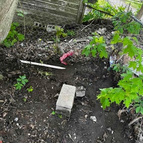 Leaf Removal by Elite Lawn Care LLC reviewed on May 30, 2026