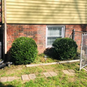 Bush Trimming by DPR Land and Hardscape Design reviewed on July 25, 2023