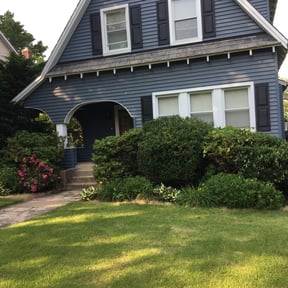 Bush Trimming by A&X LAWNCARE reviewed on August 18, 2025