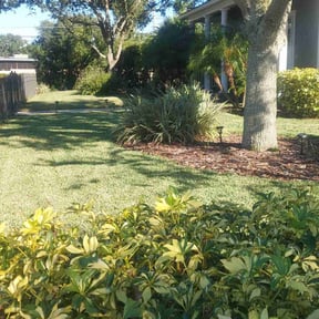 landscaping by Overdrive reviewed on August 8, 2023