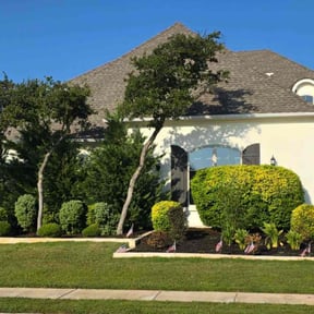 Bush Trimming by Black horse reviewed on November 22, 2025