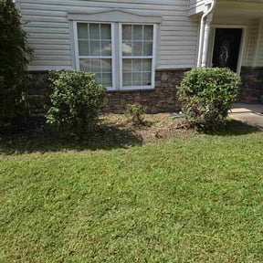 Bush Trimming by J.A.Z Landscaping  reviewed on December 24, 2025